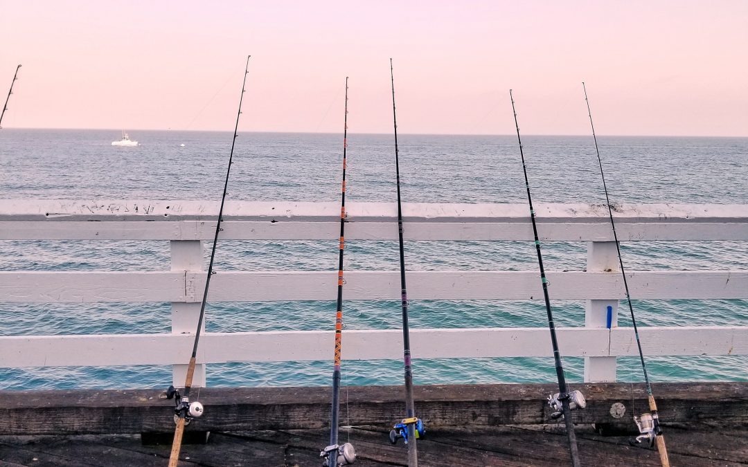 Gold Coast Fishing 101